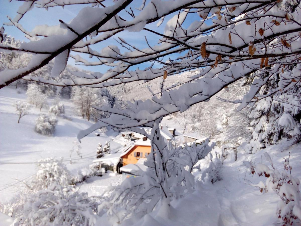 Abri De Jardin Amenage, Chambre Camping Glamour Hotel Lalaye Bagian luar foto